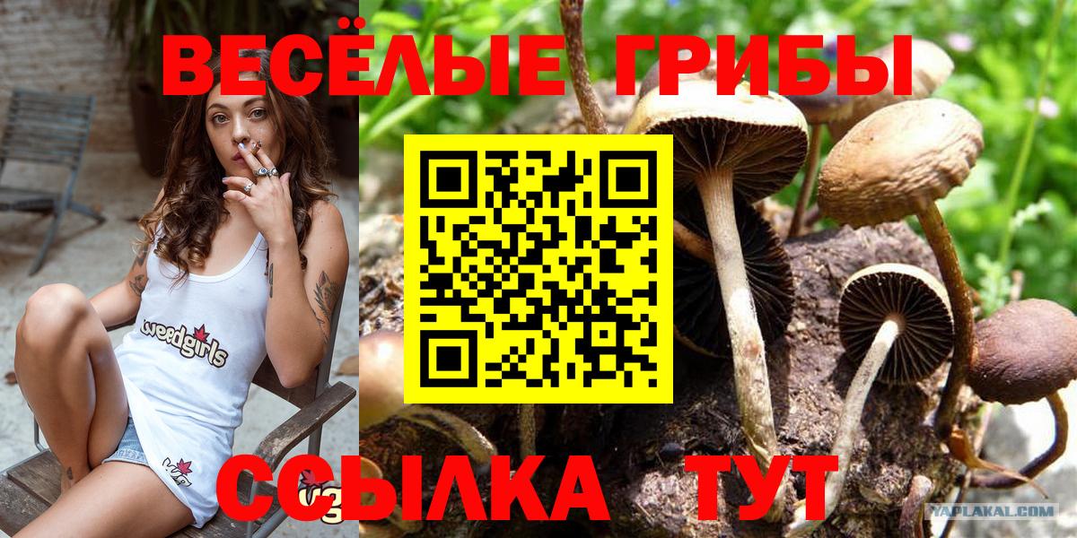 Галлюциногенные грибы Magic Shrooms Выкса