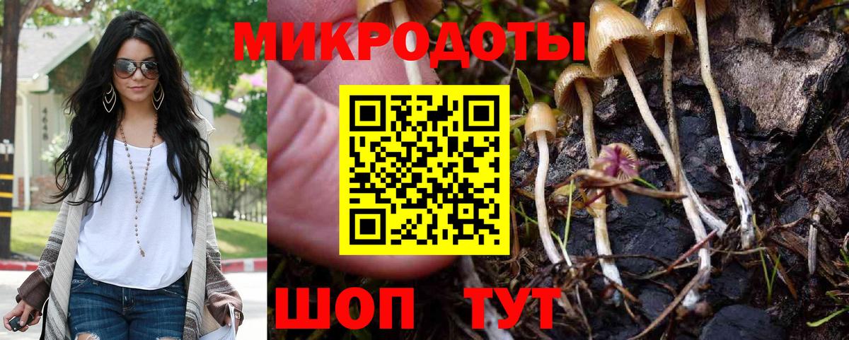 Галлюциногенные грибы Psilocybe  где найти   Выкса  Вход с VPN  Псилоцибиновые грибы мухоморы 